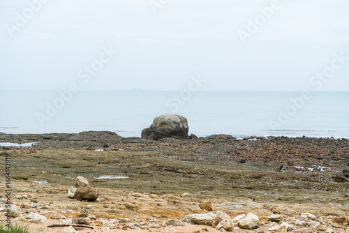 Sheep grazing on a rocky coastline with waves from the blue sea crashing on the shore