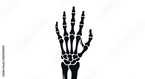 Detailed anatomical illustration of a human hand's skeletal structure.