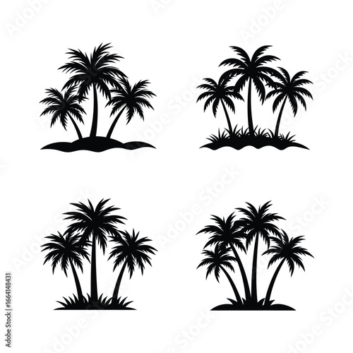 palm tree silhouettes