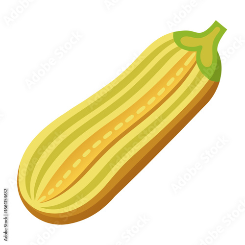 Minimalist vector of ridged luffa (jhinga) cut diagonally, clean white background