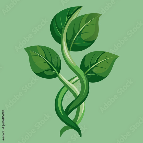 Unique vector of wild spinach (pui shak) leaves with twisting vine, isolated background