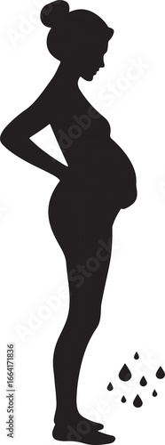 silhouette of a woman pregnant 
