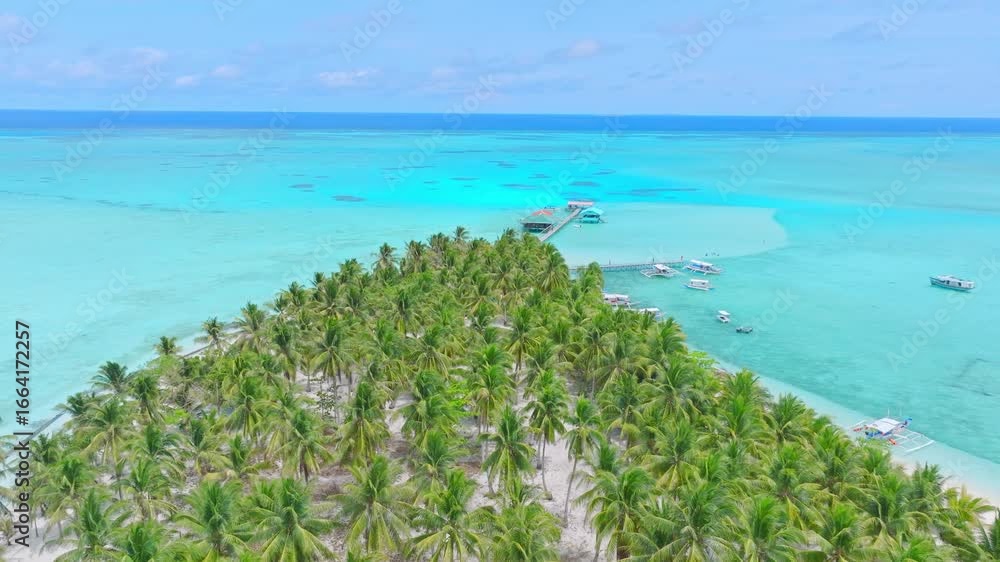 Witness the breathtaking seascape of Balabac in Palawan, the tropical paradise with pristine white sand beaches and clear turquoise waters, captured by drone from above. Witness the breathtaking seascape of Balabac in Palawan, the tropical paradise with pristine white sand beaches and clear turquoise waters, captured by drone from above.