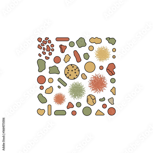 Soil microbes and minerals illustration showing healthy soil ecosystem depicting bacteria fungi and organic matter for agricultural education resources.