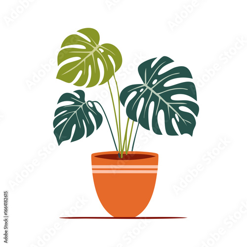Decorative Monstera deliciosa houseplant in a terracotta pot, bringing nature indoors to enhance your space
