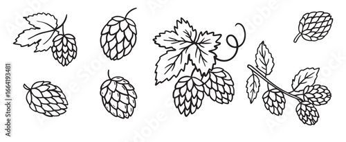 Hand drawn Hops doodle hand drawn icon set. Outline drawing hop branch with leaves and cones for beer line clipart symbol collection.