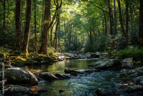 Sunlight streams through a lush forest canopy, illuminating a tranquil creek