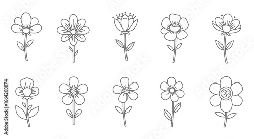 A set of simple line drawings of various flowers in bloom