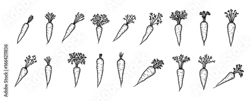 carrots in different shapes and sizes