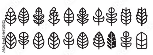 Leaf Line Art A Minimalist Collection