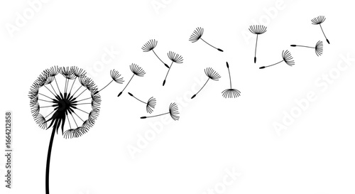 Minimalist silhouette of dandelion seeds blowing in the wind