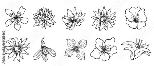 Rhododendron Azalea silhouette vector icon graphic logo ai generated design
