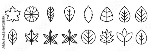 Set leaf illustration icon and white background 