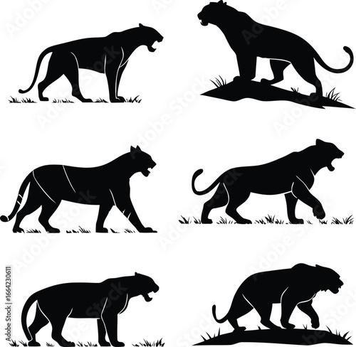 Silhouette of Black Panthers Displaying Aggression and Serenity in Natural Poses, A Study in Feline Majesty