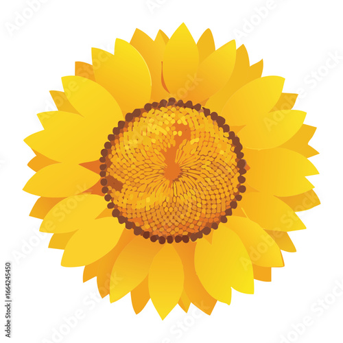 Detailed Close-Up Vector Image of a Giant Bright Yellow Sunflower