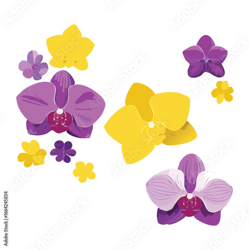 Collection of Yellow, Purple, and Pink Orchid Flowers