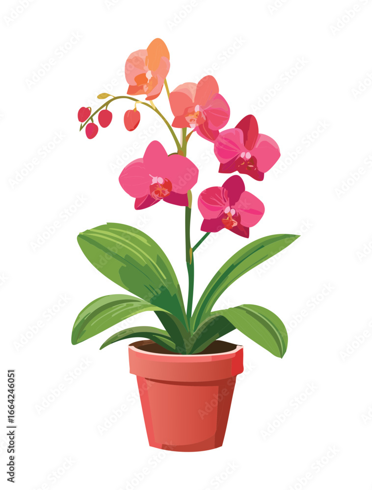 Naklejka premium Beautiful Pink Orchid Houseplant in a Terracotta Pot