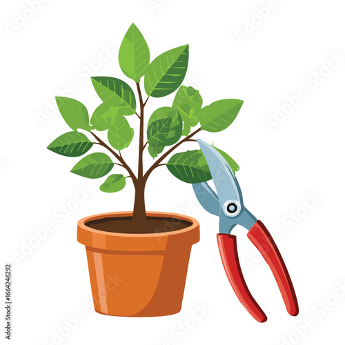  Red and Silver Pruning Shears and a Potted Plant.