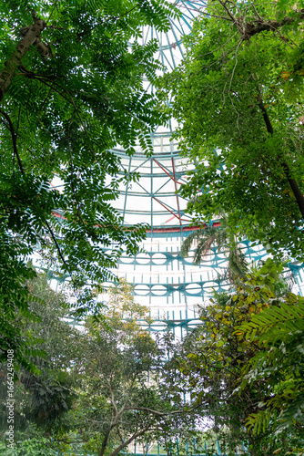 The botanical garden at the National Museum of Natural Science in Taichung, Taiwan, features a stunning glass dome structure surrounded by lush greenery. The architectural landmark combines modern des