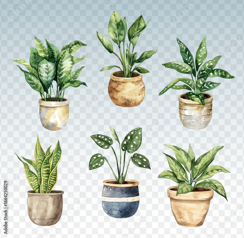 Vivid green watercolor houseplants vector collection. Indor plants in pots drawing set. Home flowers in pots.