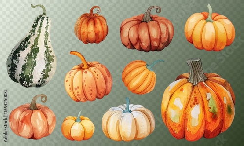 Charming pumpkin and gourd collection with warm autumn hues vector set. Ideal for fall-themed designs, harvest events, Thanksgiving decor, and artistic projects celebrating the harvest season.