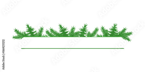 Fir tree branch border with thin line accent