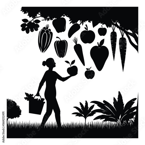 Silhouette of woman picking fresh fruit and vegetables from a garden tree for healthy eating Nutrition Coaching silhouette