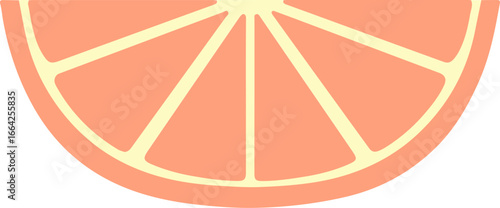 vector illustration of an orange