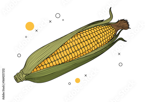 An overhead view of freshly harvested sweet corn ready for summer grilling and delicious meals
