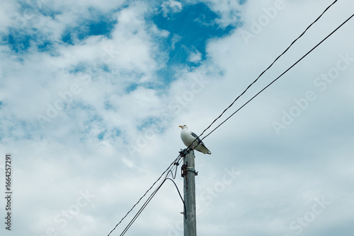 power line against blue sky