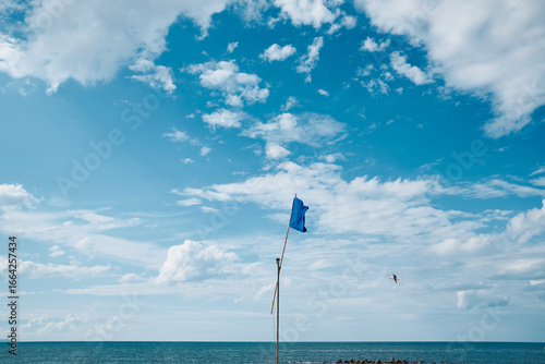 flag on the beach