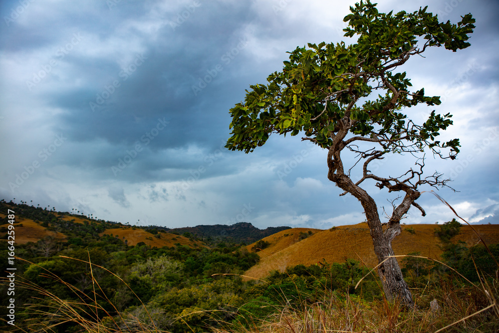 Fototapeta premium Rinca Island view with dramatic clouds