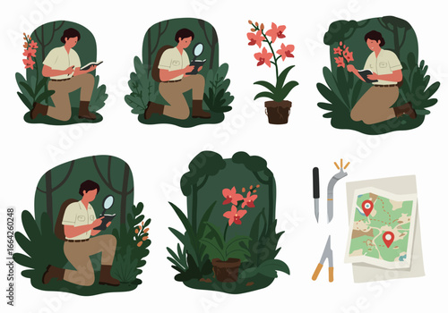 Botanist studying orchids in lush forest environment