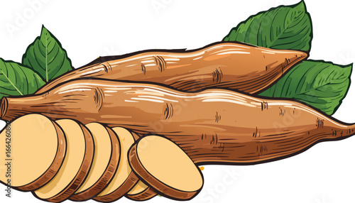 Fresh cassava roots and slices with green leaves vector
