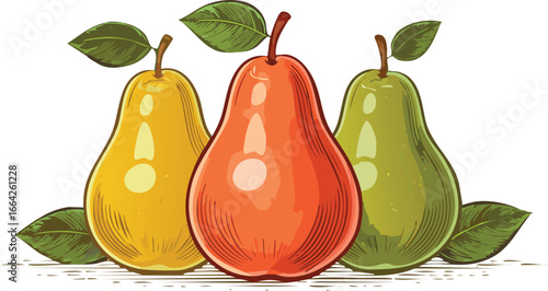 Three Pears With Leaves fruit yellow pear