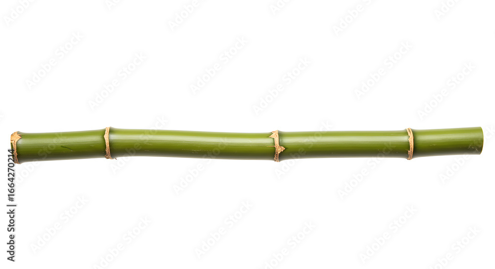 Fototapeta premium Full bamboo pole isolated for design and decoration