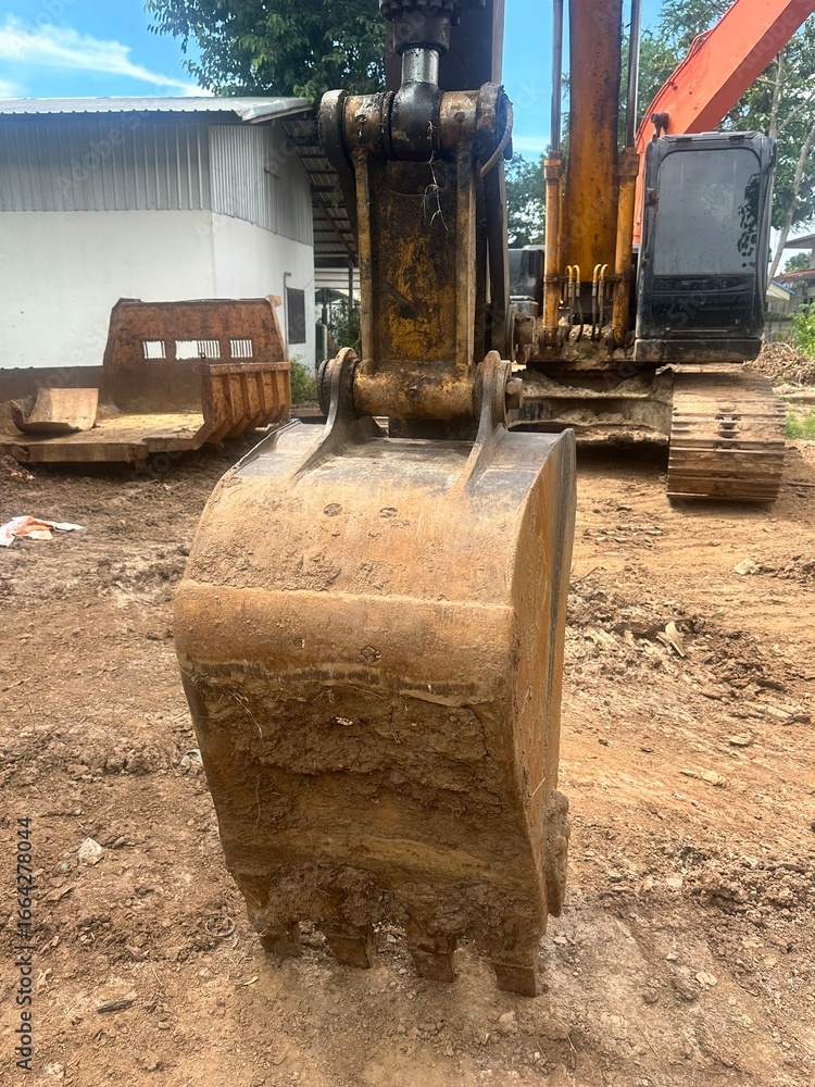 Fototapeta premium bucket 