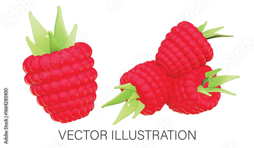 Set of Raspberries - Whole and Half Slice 3D Vector on White Background