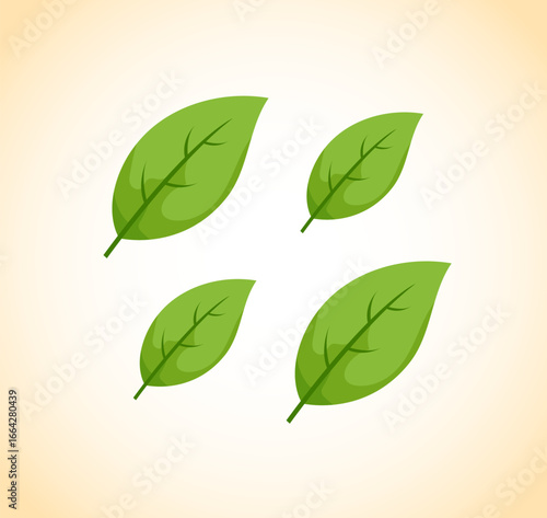 Green Leaf and Spring Leaf, Spring Leaf Pattern, Cherry Blossom Flowers and Sakura Blooming Flowers