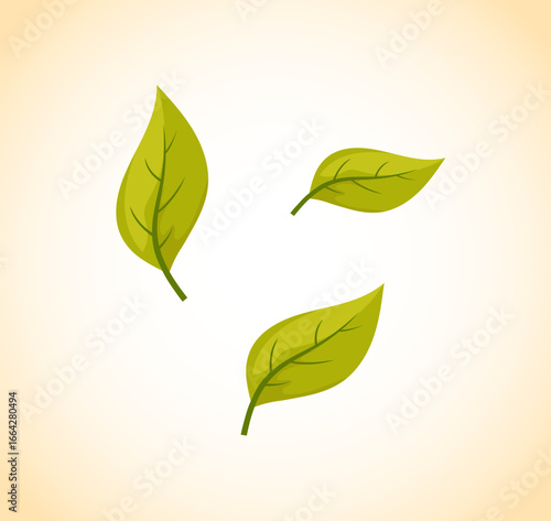 Green Leaf and Spring Leaf, Spring Leaf Pattern, Cherry Blossom Flowers and Sakura Blooming Flowers