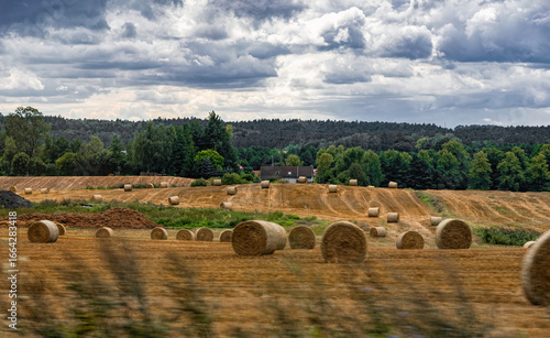 Golden summer agricultural field and haystacks. Harvesting cereal plants