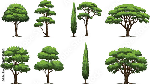Collection of different tree types, tall green trees, natural forest, diverse foliage, landscape elements, garden plants, environment, nature, ecology illustrations