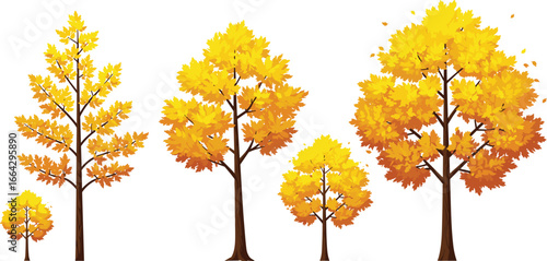 Autumn trees with yellow orange leaves, fall season foliage, seasonal nature, colorful trees, forest landscape, autumnal scenery, outdoor environment