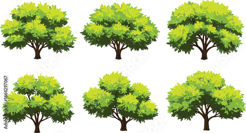 Bright green leafy trees collection, vibrant summer foliage, cartoon-style tree illustrations, perfect for nature designs, environmental projects, and garden concepts