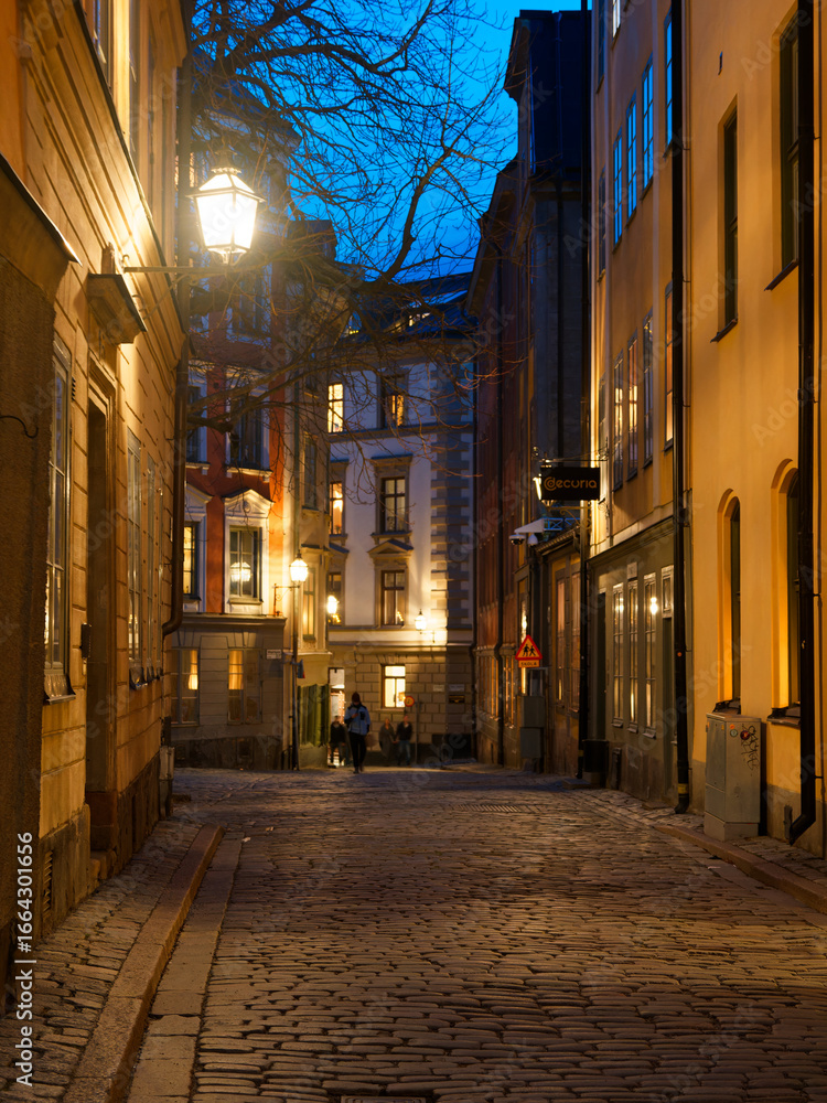 Fototapeta premium 世界遺産のガムラスタンのライトアップされた街並み