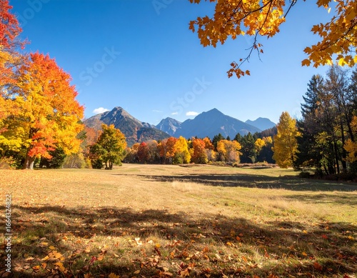 紅葉が広がる秋の自然風景

