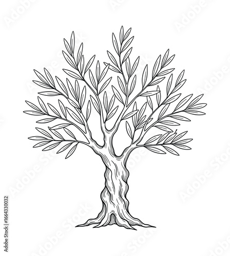 Detailed black and white sketch of an olive tree with many leaves on its branches. Vector illustration.