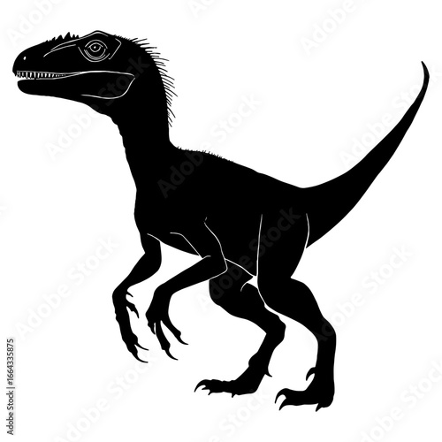 Black silhouette drawing with white lines of the carnivorous dinosaur Velociraptor and the dinosaur Giganotosaurus on a white background