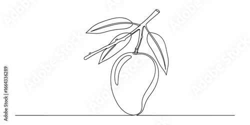 Minimalist one line drawing of a mango with leaves on branch. Simple outline vector illustration.