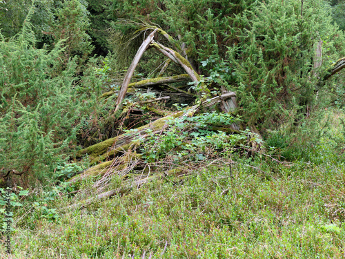 The heathland in the Büsenbach Valley